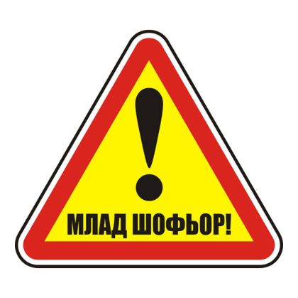 Пиктограми  ДИНЕЛ МЛАД ШОФЬОР   №211