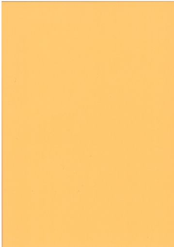 Картон  ЦВЕТЕН  А4  160гр. 50л .НАСИТЕН !!!