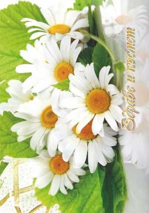 Картички МИНИ  ПЕНТАГРАМ К-т 10бр.  МК 044