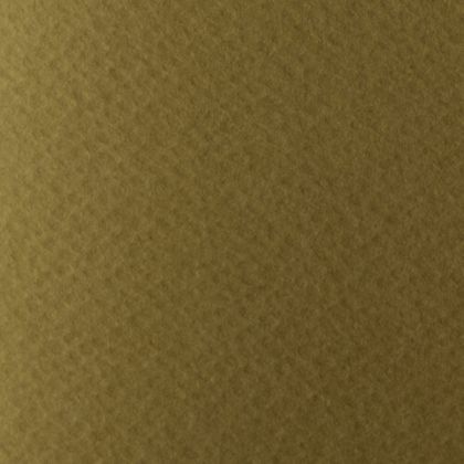 Картон АКВАРЕЛЕН 220гр. 50/70- ТЮТЮН  №12 !!!