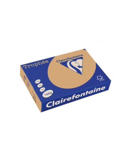 Картон CLAIRE 160гр А4 250Л CARAMEL  №1102  !!!