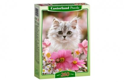 Пъзел  КАСТОР  260 елемента  !!!