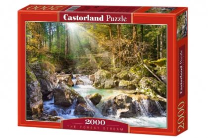 Пъзел  КАСТОР  2000 елемента  !!!
