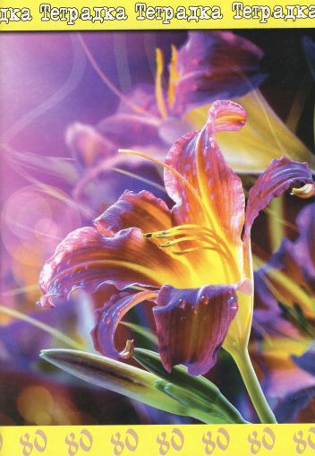 Тетрадка  А5 вестник РЕД- 80л. ЕКОБЕЛАН   !!!