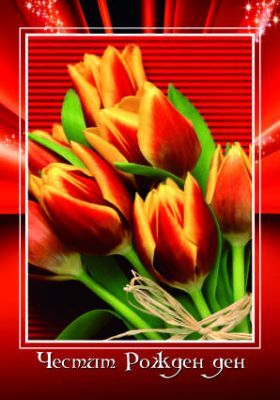 Картички МИНИ  ПЕНТАГРАМ К-т 10бр.  МК 003