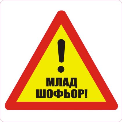 Пиктограми  ДИНЕЛ  Млад шофьор  2бр.  №511