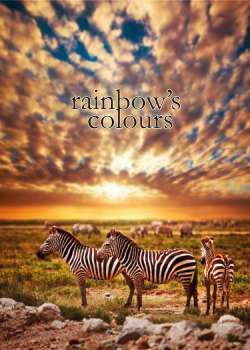 Тетрадка  А5 СпиралаОФСЕТ 120л. 3 теми М. кори