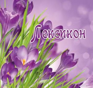Лексикон  с МЕКИ КОРИ