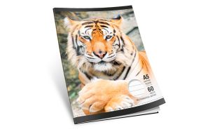 Тетрадка  А4 вестник - 80л. каре М-принт