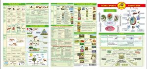 БИОЛОГИЯ  5-7 Клас А3 Ламинат !!!