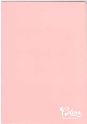 Тетрадка  А4  МЕТЕКСАН КОЛОРИ 40л. !!!