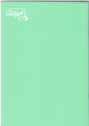 Тетрадка  А4  МЕТЕКСАН КОЛОРИ 40л. !!!