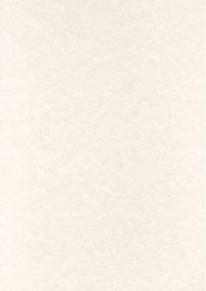 Картон  БИРЕН 430гр. 50*70см   1  лист  !!!