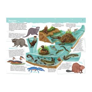 Книжка  КОЙ КЪДЕ ЖИВЕЕ 18.90лв ПУХ   !!!