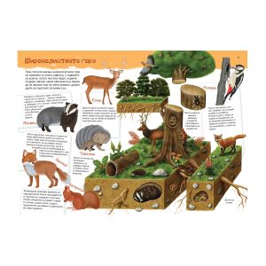 Книжка  КОЙ КЪДЕ ЖИВЕЕ 18.90лв ПУХ   !!!