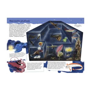 Книжка  КОЙ КЪДЕ ЖИВЕЕ 18.90лв ПУХ   !!!