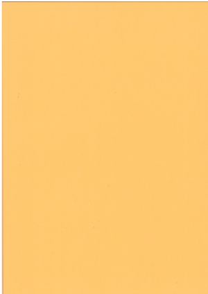 Картон  ЦВЕТЕН  А4  160гр. 50л .НАСИТЕН !!!