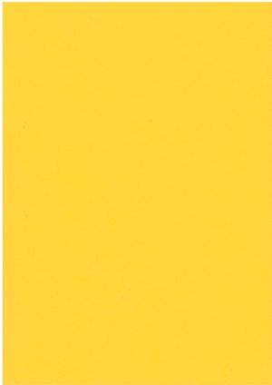 Картон  ЦВЕТЕН  А4  160гр. 50л .НАСИТЕН !!!