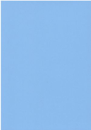 Картон  ЦВЕТЕН  А4  160гр. 50л .НАСИТЕН !!!