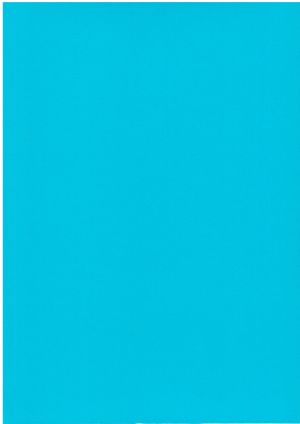 Картон  ЦВЕТЕН  А4  160гр. 50л .НАСИТЕН !!!