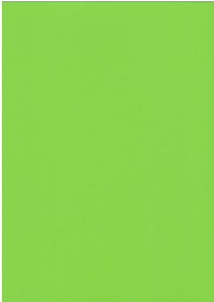 Картон  ЦВЕТЕН  А4  160гр. 50л .НАСИТЕН !!!