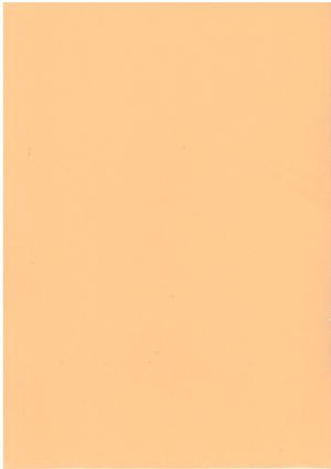 Хартия  цветна  80гр. А4 100л. - ПАСТЕЛ  !!!