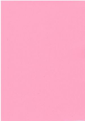 Хартия  цветна  80гр. А4 100л. - ПАСТЕЛ  !!!