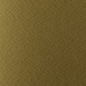 Картон АКВАРЕЛЕН 220гр. 50/70- ТЮТЮН  №12 !!!