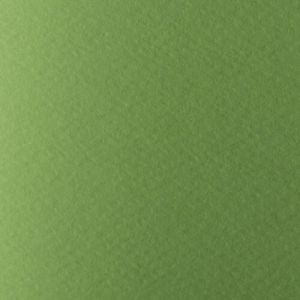 Картон АКВАРЕЛЕН 220гр. 50/70- СВ.ЗЕЛЕН №15 !!!