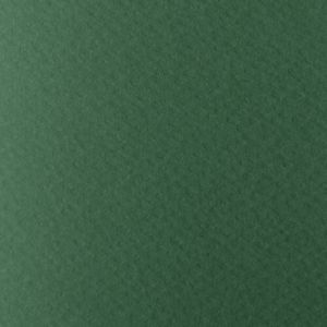 Картон АКВАРЕЛЕН 220гр. 50/70- ЗЕЛЕН №16 !!!