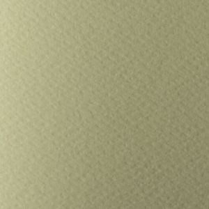 Картон АКВАРЕЛЕН 220гр. 50/70- ШАМПАНСКО №4 !!!