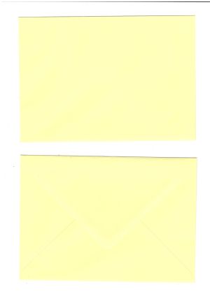 Плик  ЦВЕТЕН   125/175мм  RIVIERA/ СВЕТЛОЖЪЛТ