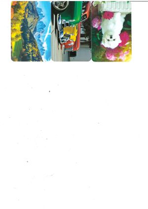 Календарчета джобни  МИКС за 50 бр Комплект !!!