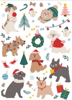 Торбички   КАНПОЛ КОЛЕДНА  TG-30S КЛАСИК