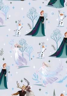 Хартия РУЛО 70/200см PD-70200S  ДИСНИ КОЛЕДНА