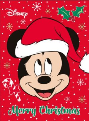 Торбички КАНПОЛ КОЛЕДНА ДИСНИ TGD-30S