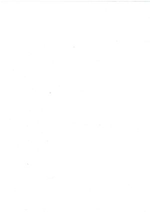 Хартия Пергамин 60/100