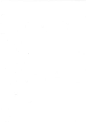 Хартия Пергамин 60/100