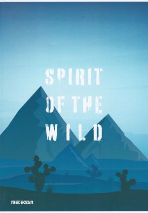 Тетрадка  А4  КАРТОН  80л.РЕД  МЕТЕКСАН  !!!