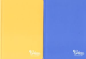 Тетрадка  А5  МЕТЕКСАН   КОЛОРИ 100л.  !!!