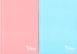 Тетрадка  А5  МЕТЕКСАН   КОЛОРИ 100л.  !!!