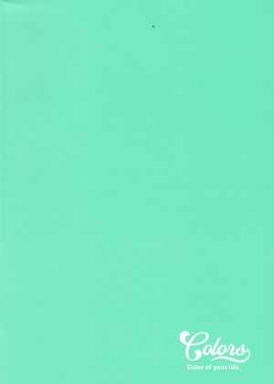 Тетрадка  А4  МЕТЕКСАН КОЛОРИ  100л.  !!!