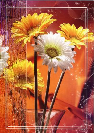 Картички ПЕНТАГРАМ ДВОЙНИ с плик ГКП 018-1