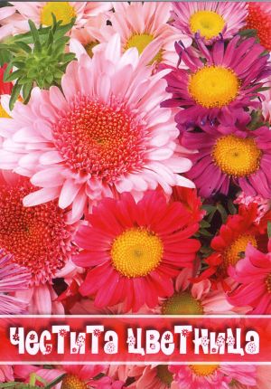 Картички ПЕНТАГРАМ ДВОЙНИ с плик ГКП 084