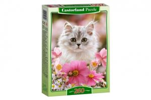 Пъзел  КАСТОР  260 елемента  !!!