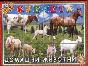 Кубчета с Домашни животни ПВЦ Детски свят  !!!