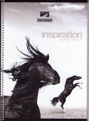 Тетрадка  А4 спирала SIMPLE  120л. МЕТЕКСАН  !!!