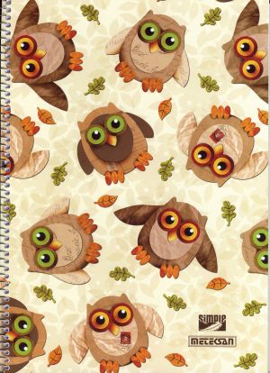 Тетрадка  А4 спирала SIMPLE  120л. МЕТЕКСАН  !!!