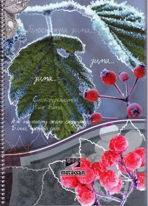 Тетрадка  А4 спирала SIMPLE  120л. МЕТЕКСАН  !!!