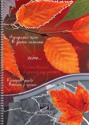 Тетрадка  А4 спирала SIMPLE  120л. МЕТЕКСАН  !!!